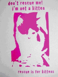 rescue is for kittens